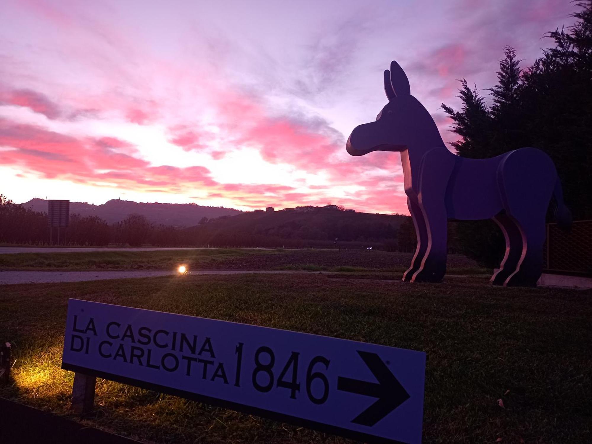 La Cascina Di Carlotta 1846 Agriturismo Alba Kültér fotó